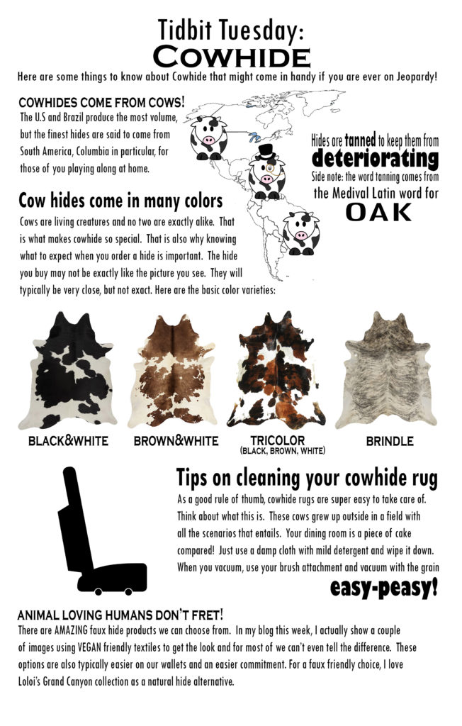 Tidbit Tuesday! Things you want to know about Cowhide Rugs